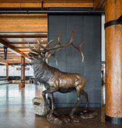 Bronze Bull Elk Sculpture by Danny Edwards