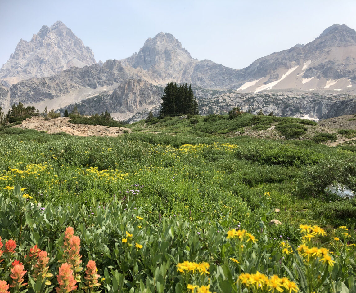 Community - Jackson Hole Airport